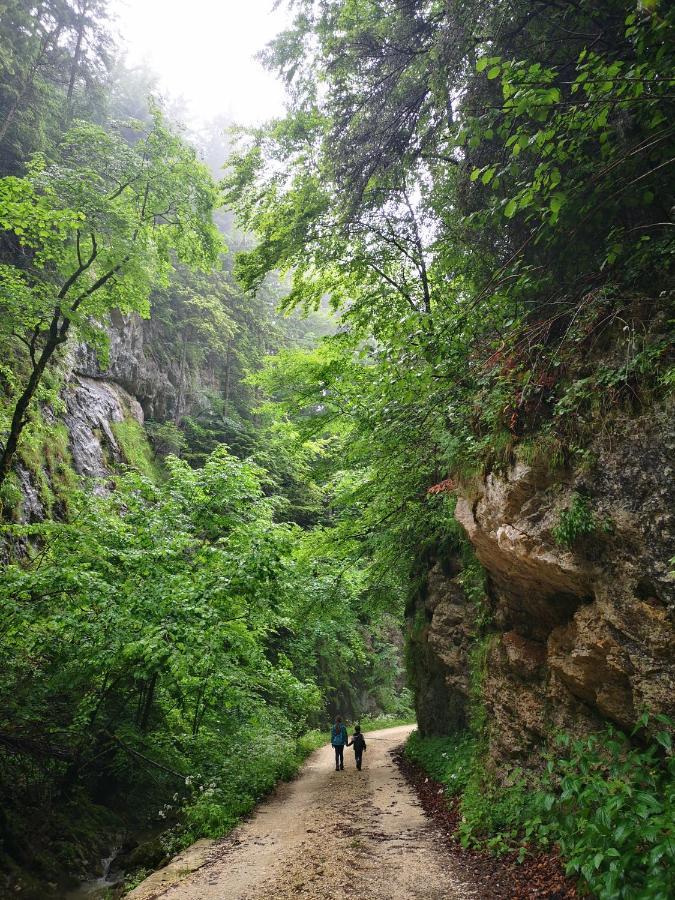 Rîşnov Mountain Lodge מראה חיצוני תמונה