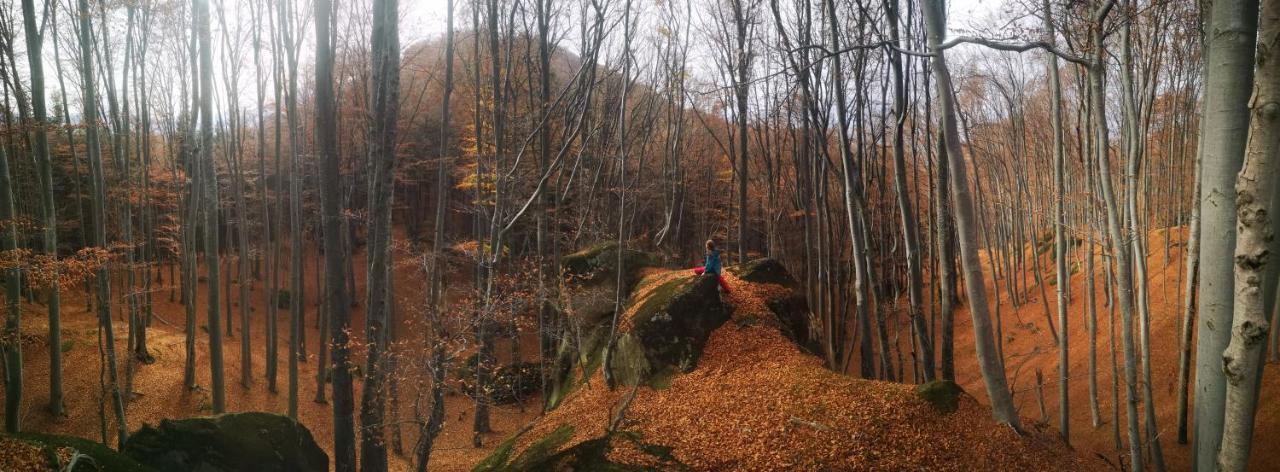 Rîşnov Mountain Lodge מראה חיצוני תמונה