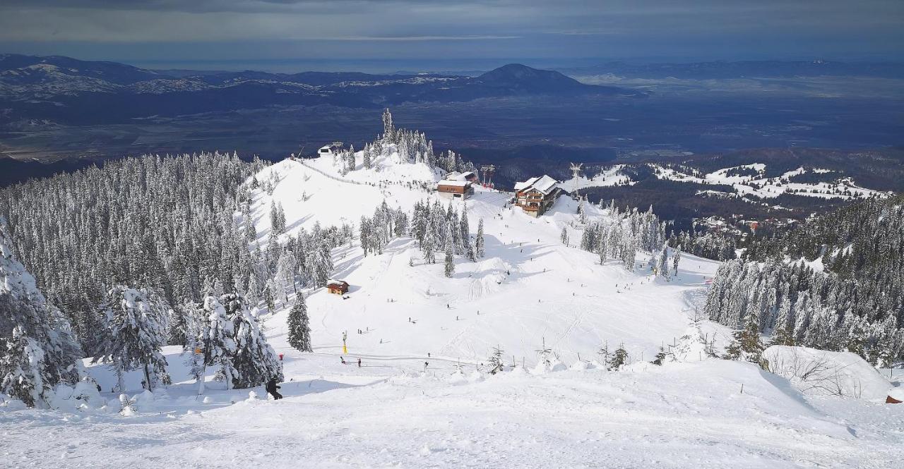 Rîşnov Mountain Lodge מראה חיצוני תמונה